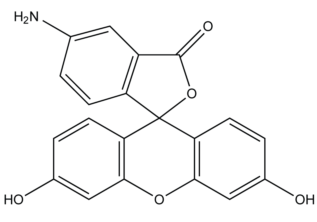 scheme:5-Amino-2-(3-hydroxy-6-oxoxanthen-9-yl)benzoic acid